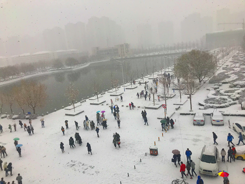 冬日里的温暖 (1).jpg